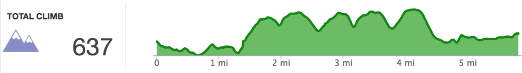 My first hill repeats.